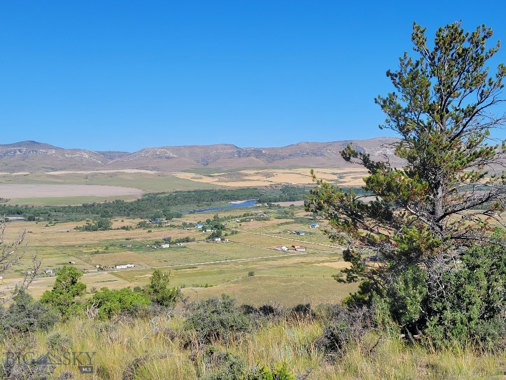 Ponderosa Pines - Land