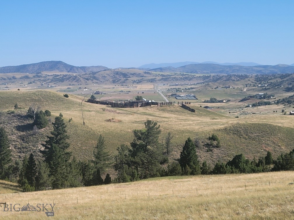 Ponderosa Pines - Land