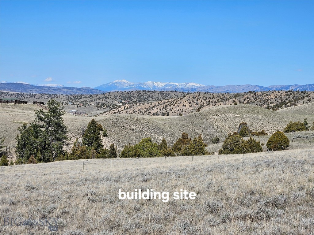 Ponderosa Pines - Land