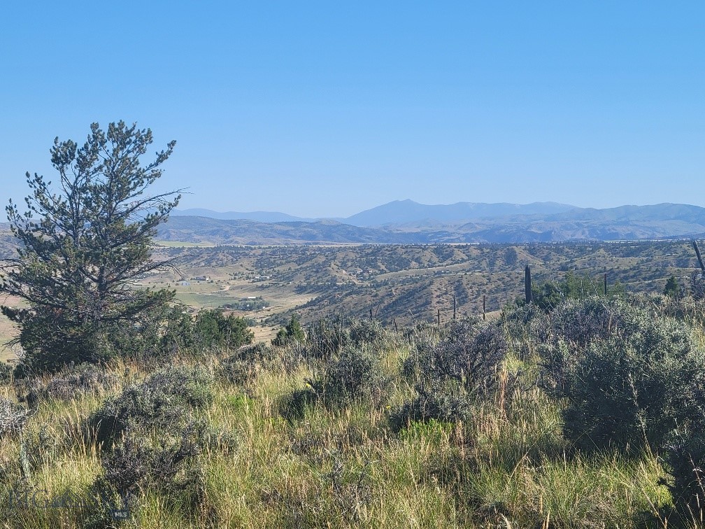 Ponderosa Pines - Land