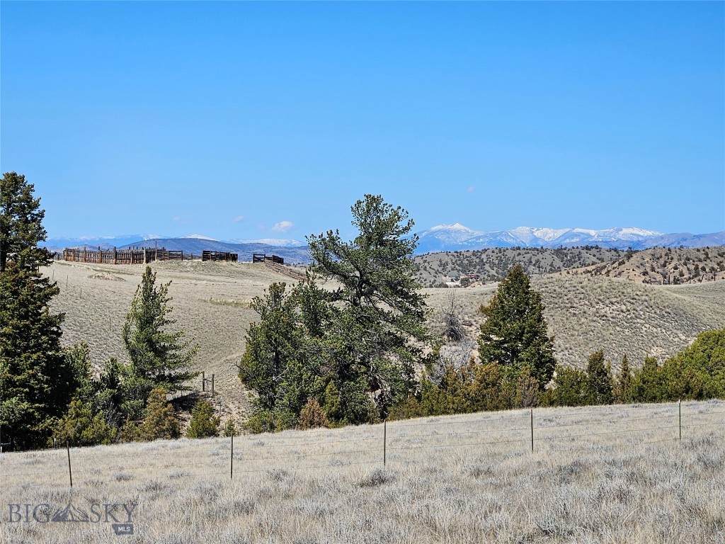 Ponderosa Pines - Land