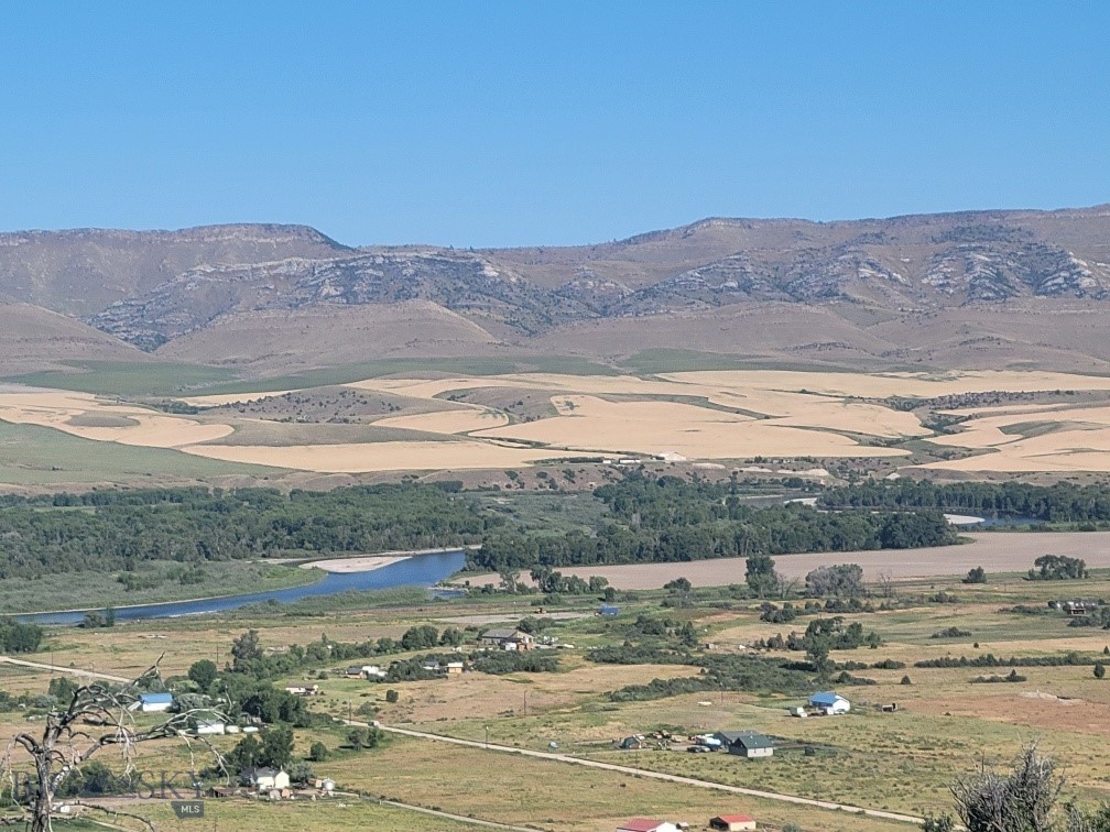 Ponderosa Pines - Land