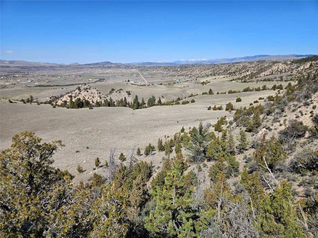 Ponderosa Pines - Land