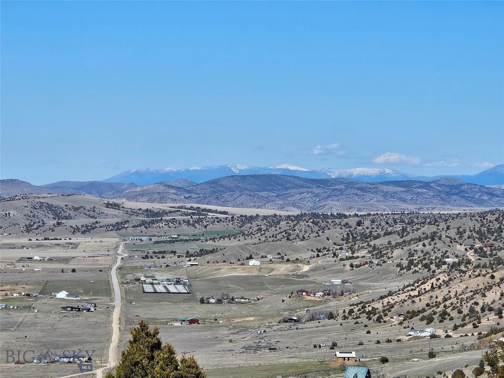 Ponderosa Pines - Land
