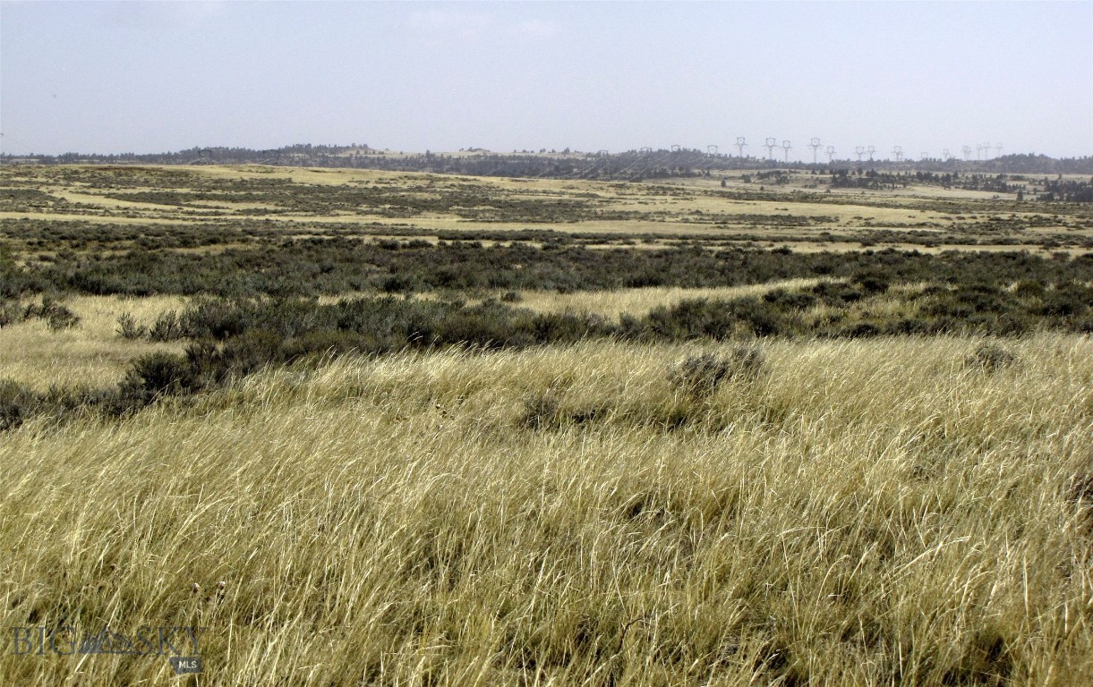80 acres of Montana grassland and sagebrush just 20 miles north of Billings where the deer and the antelope play. Only 2.5 miles east of the state highway, lots of potential for a private get away. The 80 acre parcel to the south, MLS#405391, is also available for the same price. These properties were homesteaded in 1920. Access is via Lindstrom Road to the northern border of property, but buyer will need to do their own investigation and due diligence regarding the easement and access. Power line easement is in place for the Transmission lines that cross the north part of property. An easement to the southern 80 acres is being recorded along the northern parcel's western border. No known covenants, no zoning. Come enjoy some great views of Big Sky country where the deer and the antelope roam.