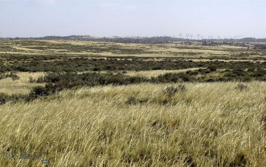 80 acres of Montana grassland and sagebrush just 20 miles north of Billings where the deer and the antelope play.  Only 2.5 miles east of the state highway, lots of potential for a private get away. The 80 acre parcel to the south, MLS#405391, is also available for the same price.  These properties were homesteaded in 1920.  Access is via Lindstrom Road to the northern border of property, but buyer will need to do their own investigation and due diligence regarding the easement and access. Power line easement is in place for the Transmission lines that cross the north part of property.  An easement to the southern 80 acres is being recorded along the northern parcel's western border. No known covenants, no zoning.  Come enjoy some great views of Big Sky country where the deer and the antelope roam.