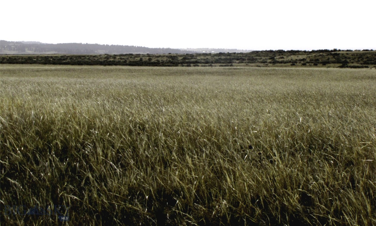 None - Land