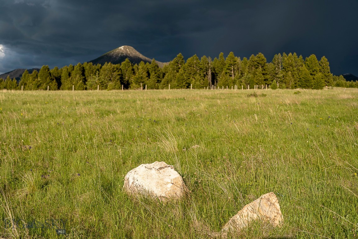 Yellowstone Basin Properties - Land