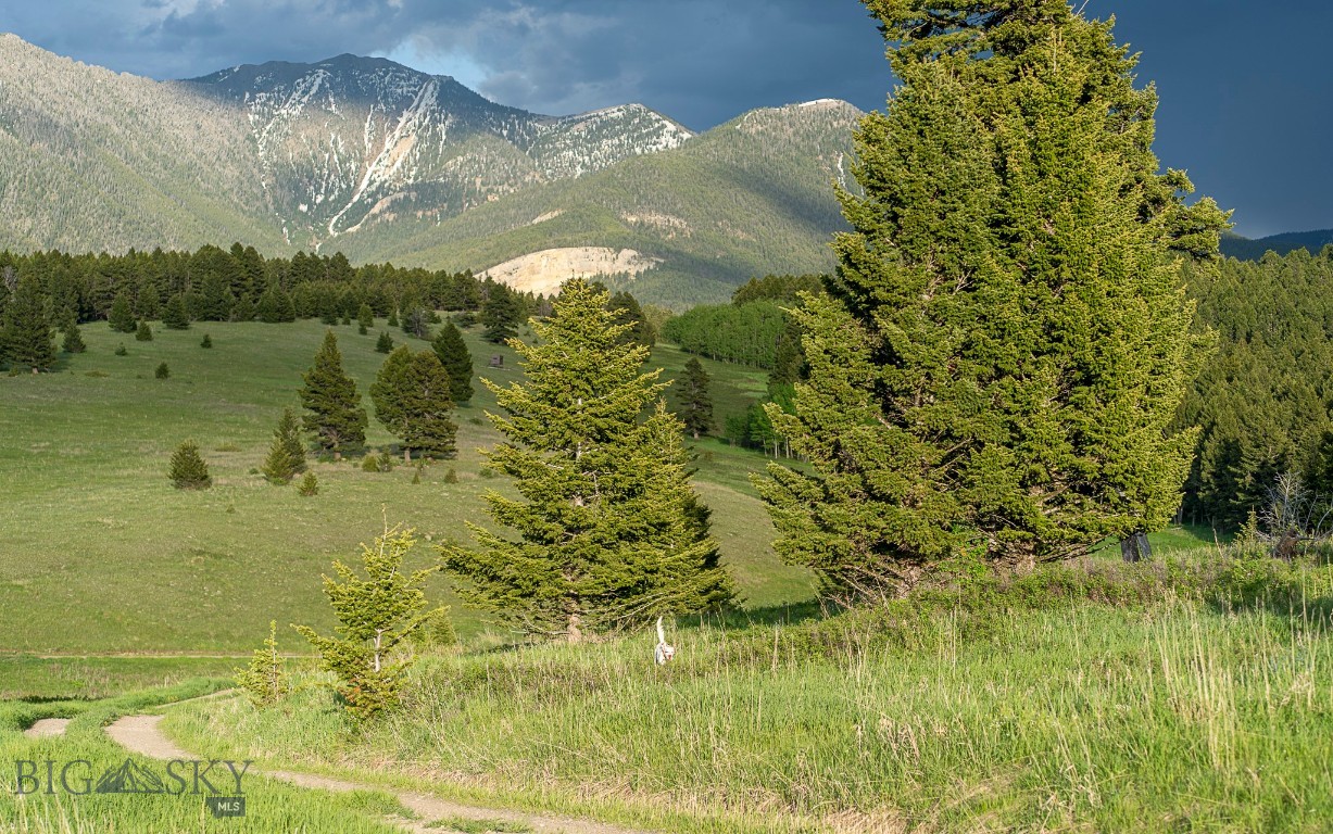 Yellowstone Basin Properties - Land