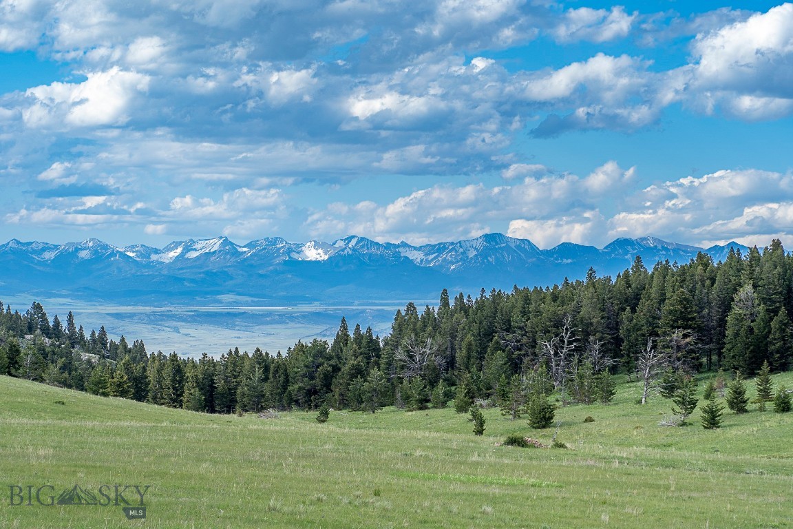 Yellowstone Basin Properties - Land