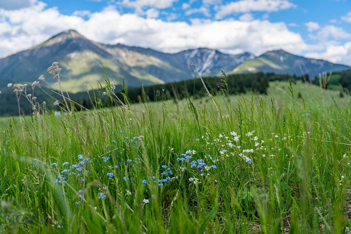 Yellowstone Basin Properties - Land