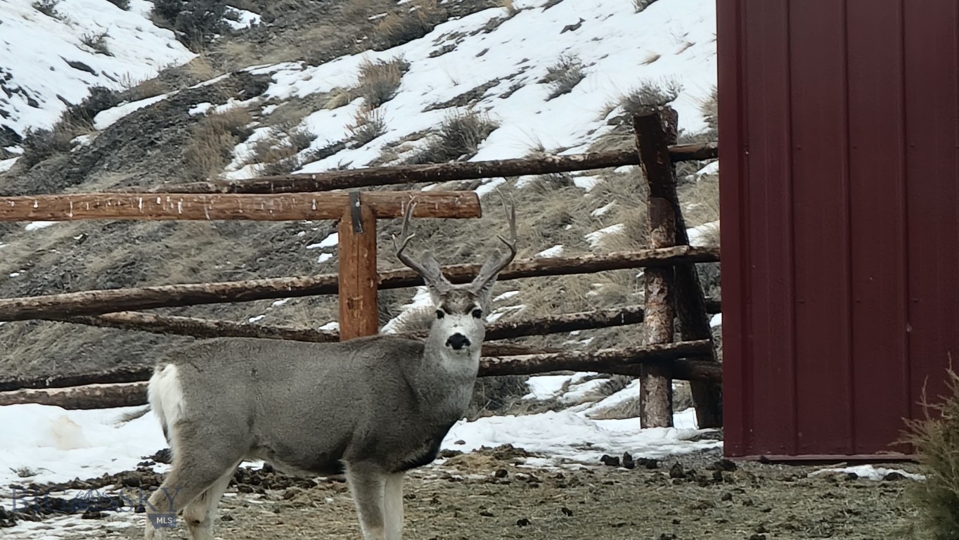 Gallatin River Ranch - Residential