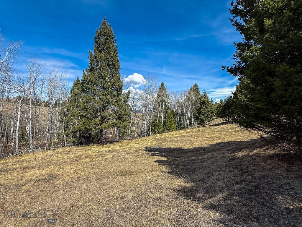 TBD Lone Pine Gulch Road