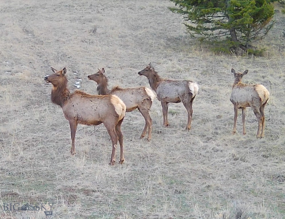 TBD Lone Pine Gulch Road