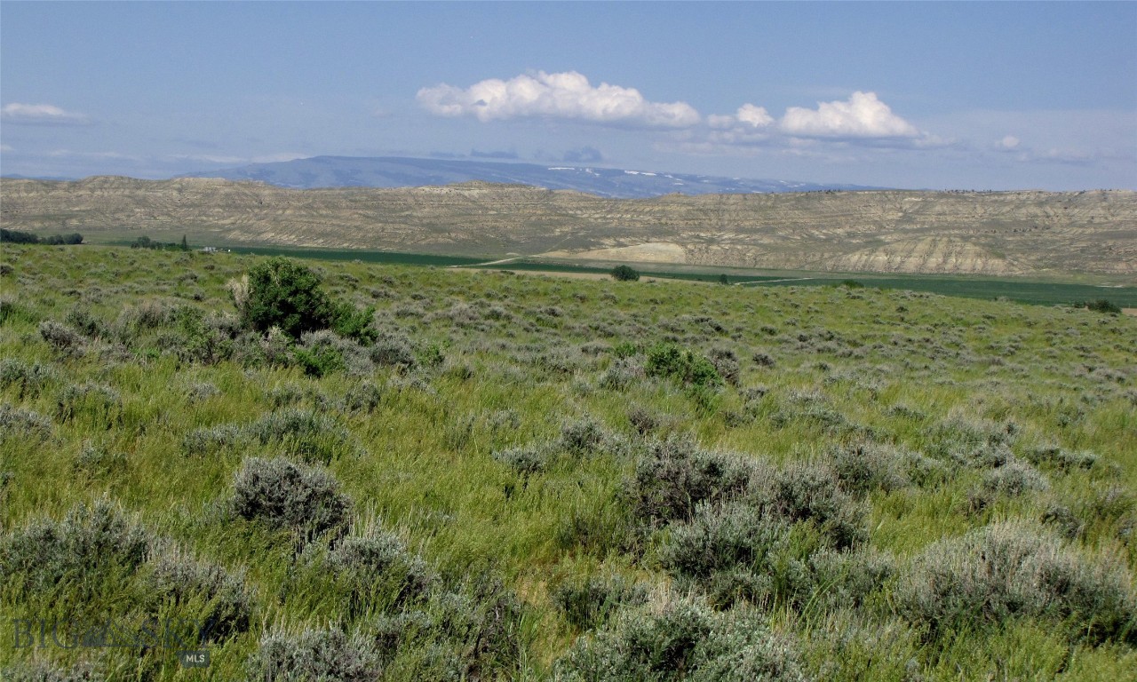 tbd Takota Lane
