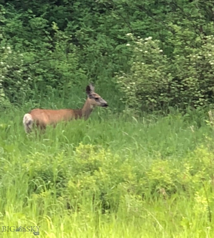 Minor Subdivision - Land