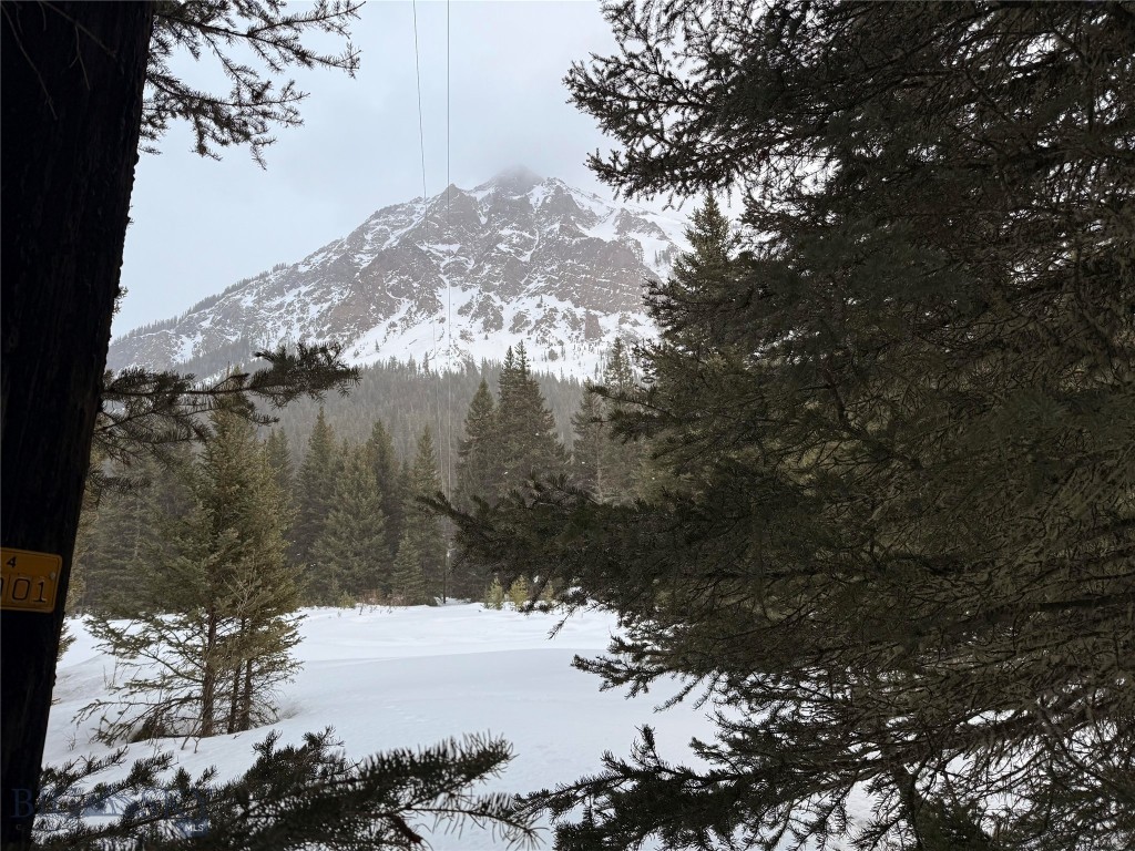 Other - Land