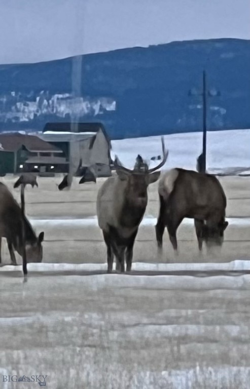 Lonesome Dove Ranch - Residential