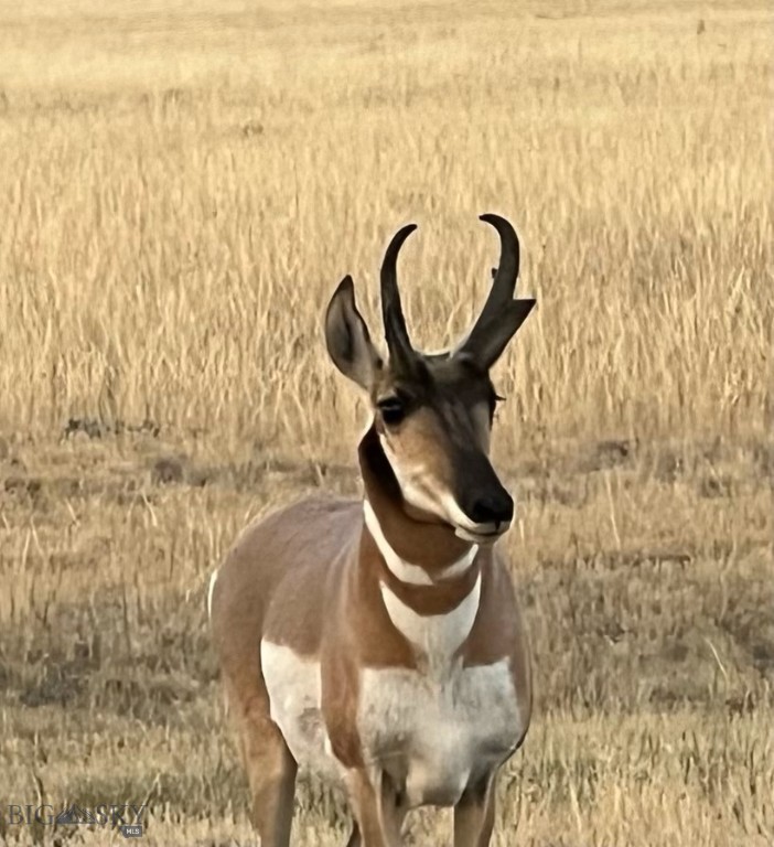Lonesome Dove Ranch - Residential