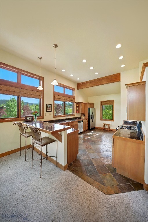 Meadow Village - Residential