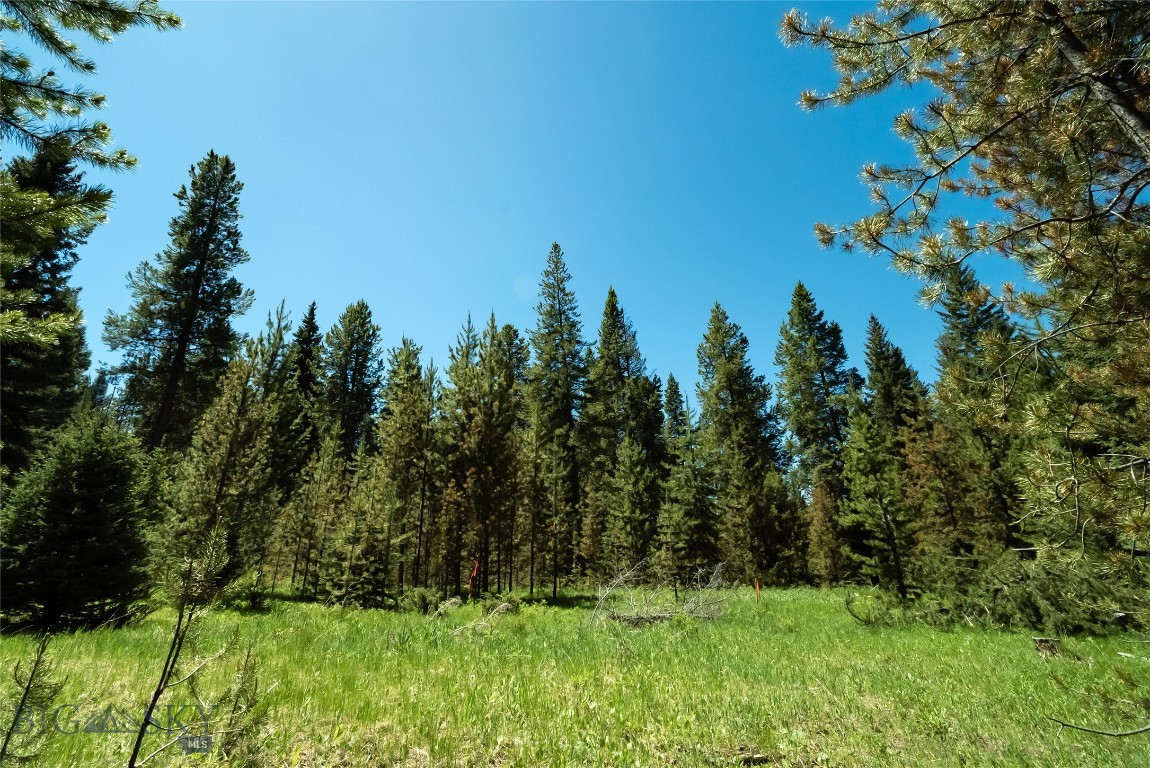 Blackfoot Hills - Residential