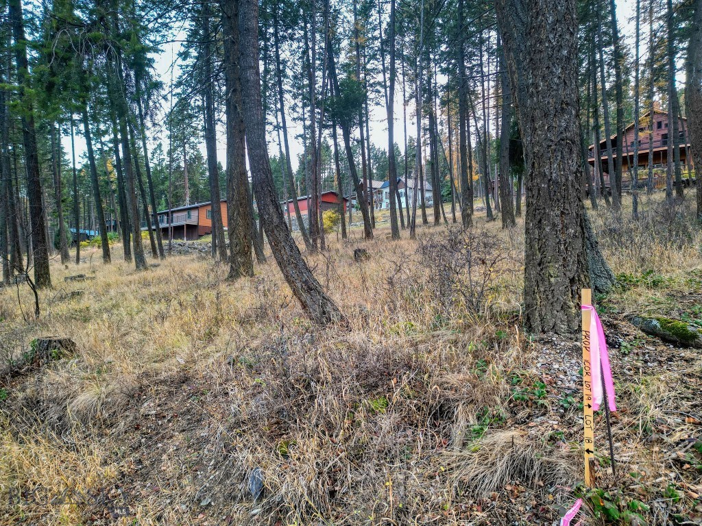 Minor Subdivision - Land