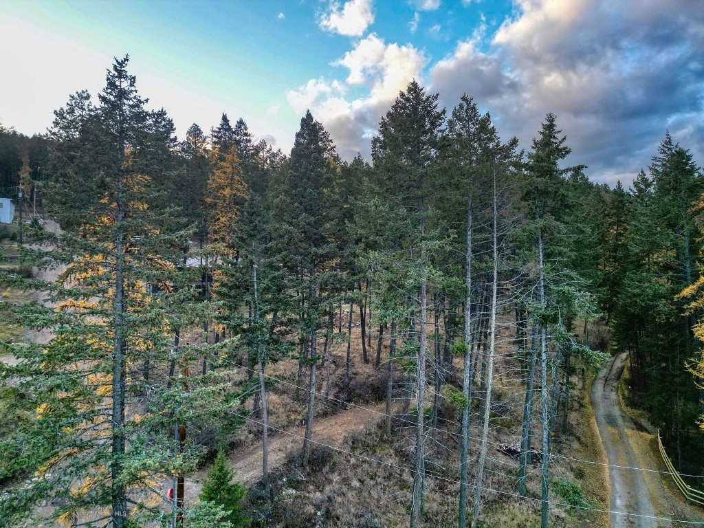 Minor Subdivision - Land