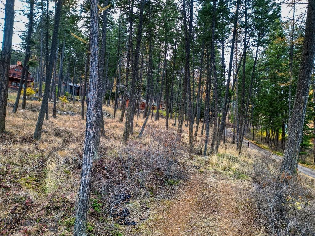 Minor Subdivision - Land