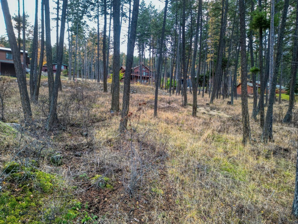 Minor Subdivision - Land