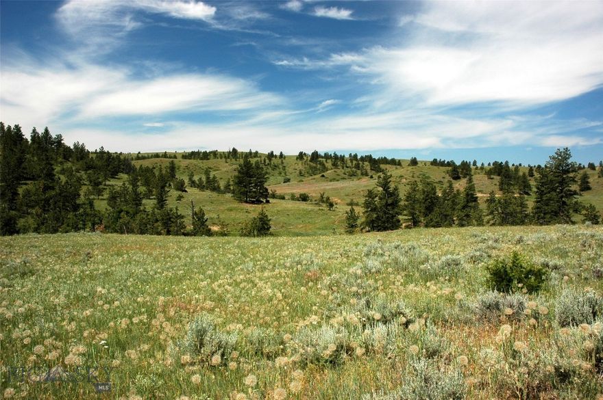 Beautiful 160 acres of remote Montana land in the pine hill country 80 miles east of Billings-perfect for a great secluded hideaway, hunting camp or retreat, or for the more adventurous, even a place for remote year-round living. The property is approximately 3.5 miles off the County road, about 20 miles south of Hysham and 90 miles east of Billings. This secluded property offers lots wildlife, privacy and seclusion, yet you would only be 15 miles south of the Interstate. The seasonal Corral Creek flows in the spring through the property, while there is also a seasonal catchment pond that often fills up from spring run off. This all in a county with only 750 residents... it makes the drive into these hills feel like one is going back in time 100 years. Some of the Sandstone outcroppings in the area have been carved on by old time Cowboys and Homesteaders, not to mention signs of an area Indians used for centuries as hunting grounds. Custer even camped near this area on his way to his final stand. Miles from electric power, but the property has some great south facing areas for Solar power. Starlink is recommended for internet, but cell phones do work along the ridges. This property has a beautiful ridge top from which you can glimpse the distant Bighorn Mountains in Wyoming... 80 miles of views over rolling pine hills with few man-made structures in view. Wildlife here includes mule deer, whitetails, elk, antelope, turkeys, Sharp tail grouse, coyotes, even bears & cougars. If you are looking for a private retreat, a place to listen to the wind blow through pines and enjoy the night skies, far from the city rat race, this may be the place for you. Come build you cabin in this beautiful area and enjoy some peace & quiet. Call now to set up a showing.