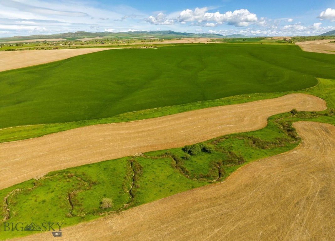 TBD Reese Creek Road