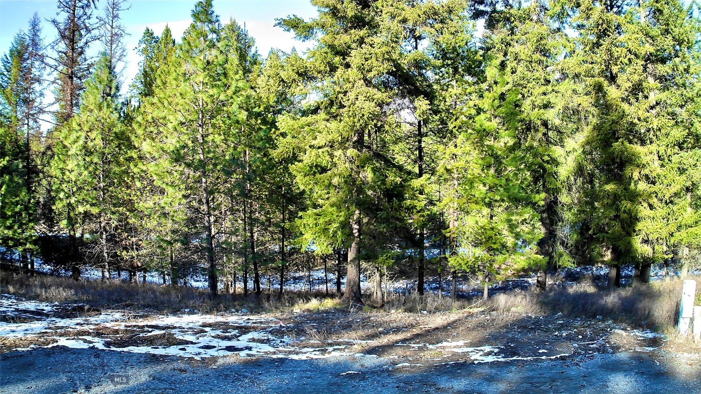 2517 Mossy Rock Court