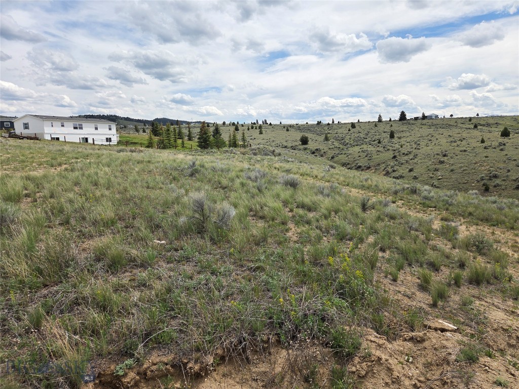 347 Lupine