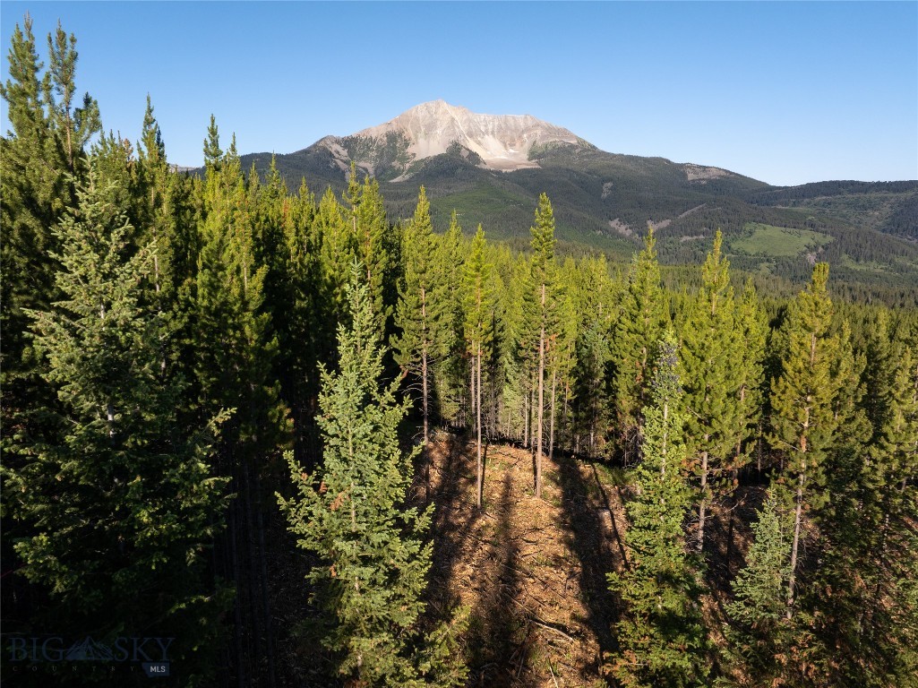 TBD Sawtooth Road Lot 9