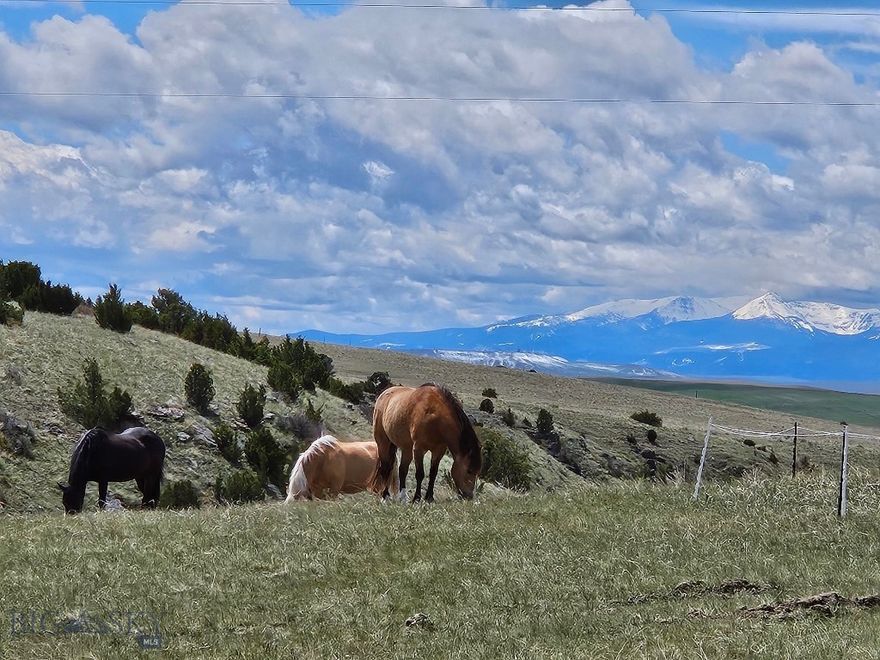 Here is your chance to own a true hunter's paradise close to Bozeman! These deeded 160 acres hold mule deer, antelope AND elk. Within minutes of the Logan gun range and Gallatin Sporting clays and only 30 minutes to the Bozeman Airport. 160 acres of adjacent, land locked State Land, add even more opportunity for recreation. Enjoy sweeping views of the Tobacco Root mountains from your back patio and end of the road privacy from the front porch. A remodeled manufactured home on a permanent foundation with 3 bedrooms, 2 baths, covered porches and new metal roof provide for comfortable living, with plenty of room for a custom home, shop, riding arena, etc. Property is set up for horses and other livestock with a newer barn, multiple corrals and pastures and a natural spring that provides year round stock water and a source for the wildlife. Other improvements included a 16x24 garage, small shed and office building, and a 24gpm well. This property has it all! Call or text your favorite real estate agent for a showing today! Please no drive-byes.