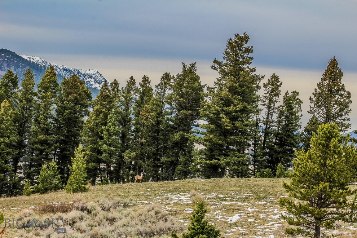 Certificate Of Survey COS - Land