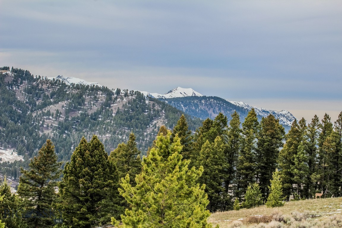 Certificate Of Survey COS - Land