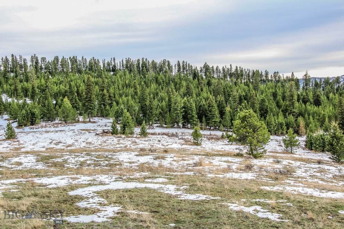 Certificate Of Survey COS - Land