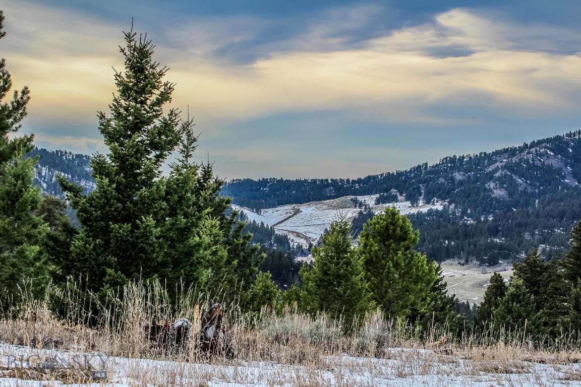 Certificate Of Survey COS - Land