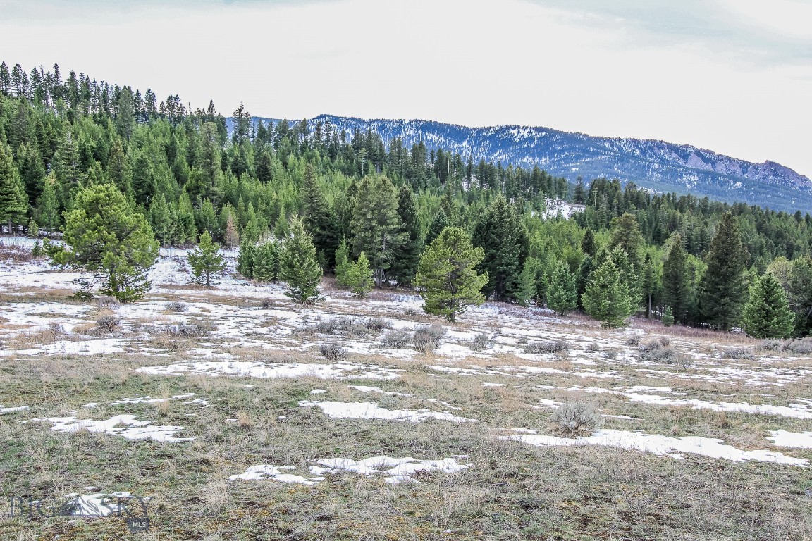 Certificate Of Survey COS - Land