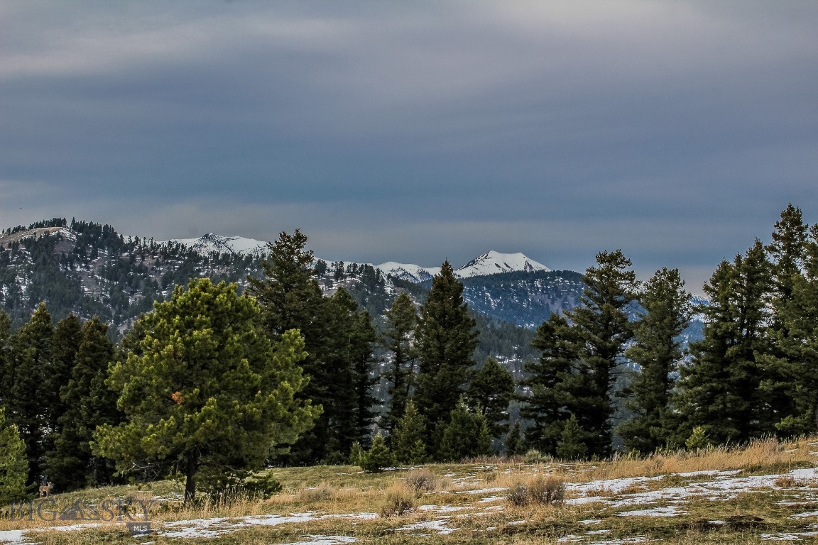 Certificate Of Survey COS - Land