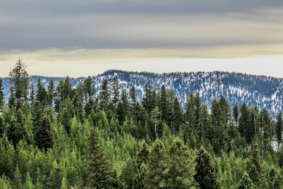 Certificate Of Survey COS - Land