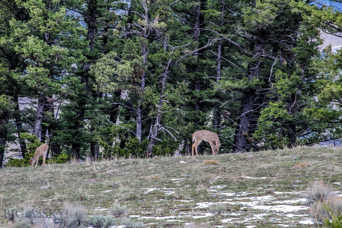 Certificate Of Survey COS - Land