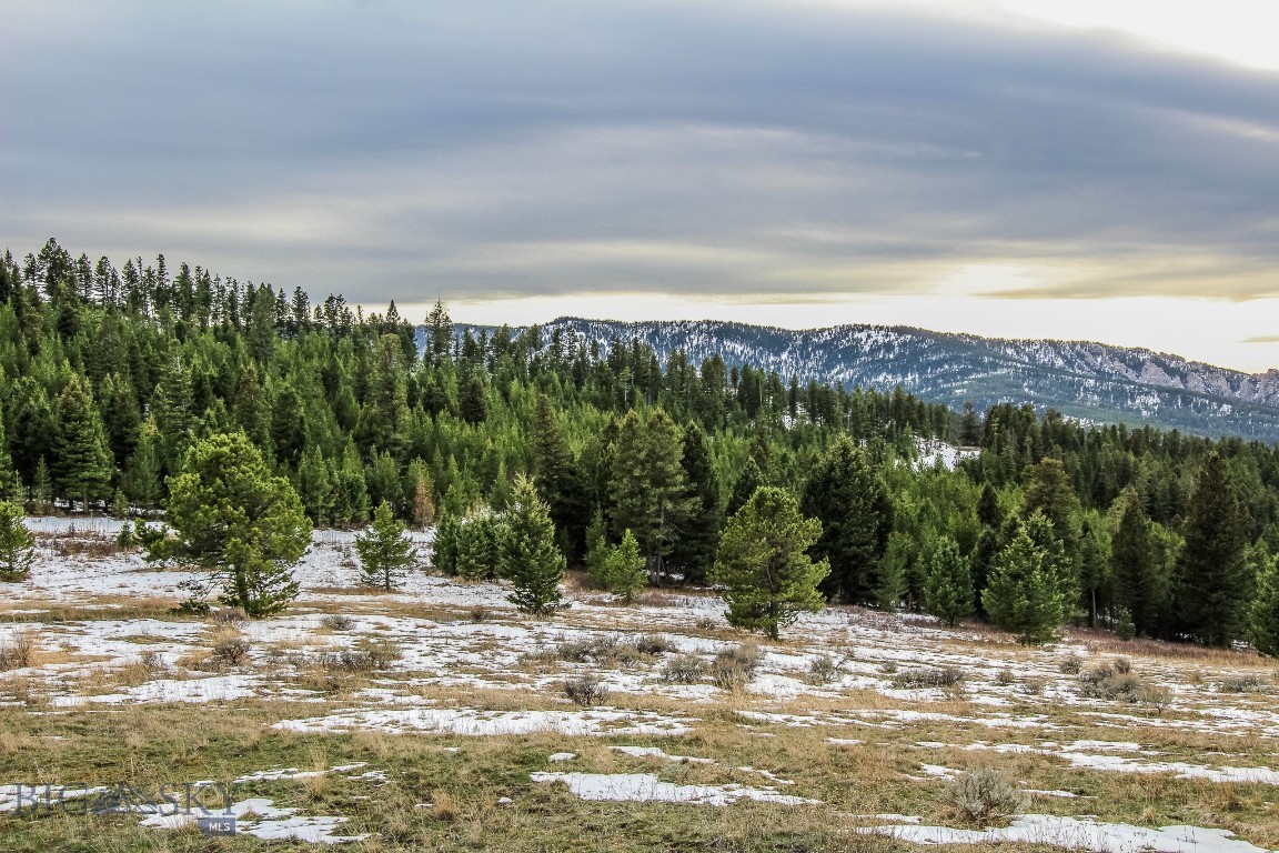 Certificate Of Survey COS - Land