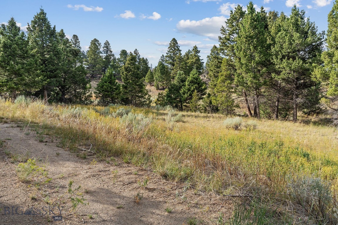 Whitehall, Montana 59759, United States, 1 Bedroom Bedrooms, ,1 BathroomBathrooms,Land,Pending,199261