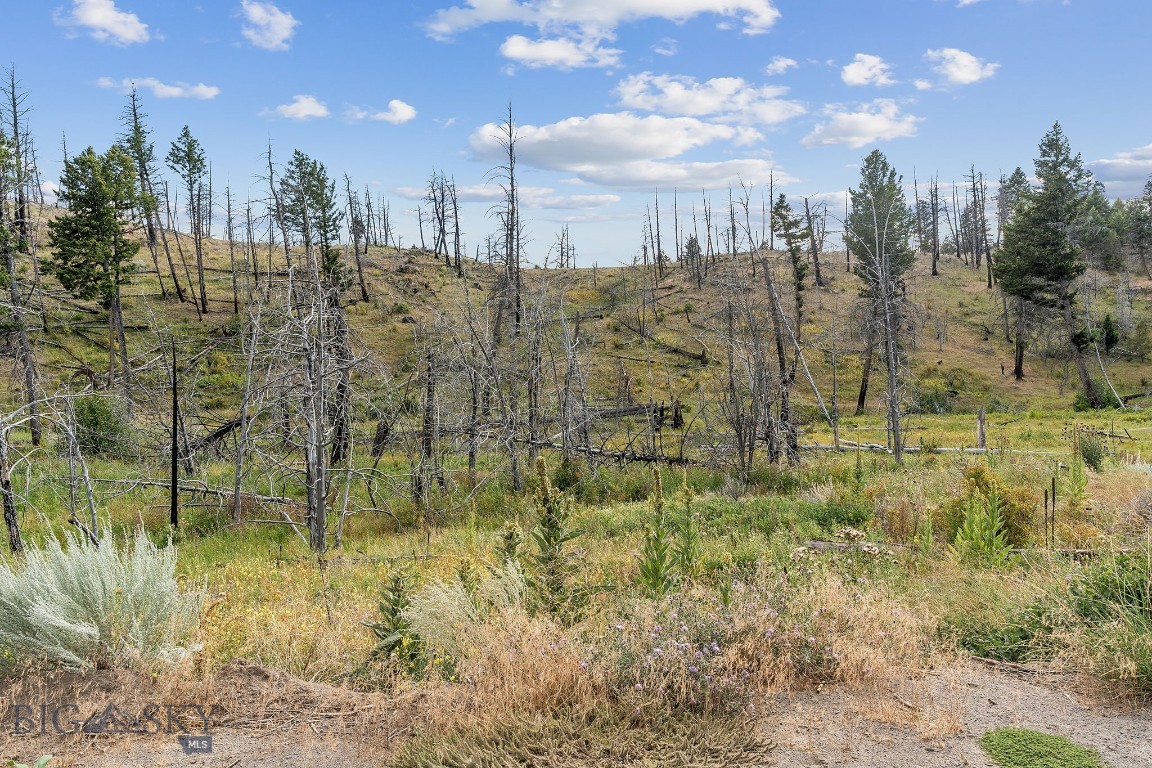 Whitehall, Montana 59759, United States, 1 Bedroom Bedrooms, ,1 BathroomBathrooms,Land,Pending,199261