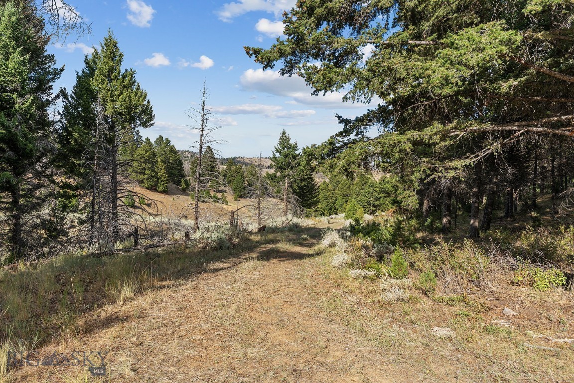 Whitehall, Montana 59759, United States, 1 Bedroom Bedrooms, ,1 BathroomBathrooms,Land,Pending,199261