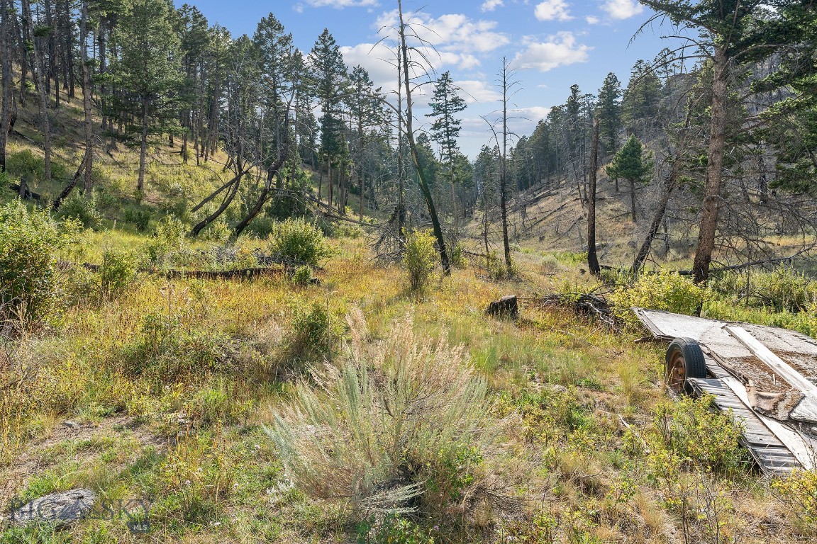 Whitehall, Montana 59759, United States, 1 Bedroom Bedrooms, ,1 BathroomBathrooms,Land,Pending,199261