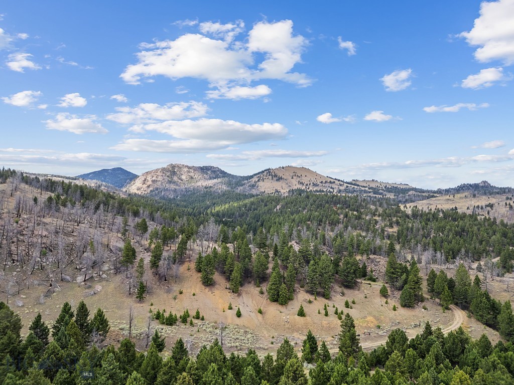 Whitehall, Montana 59759, United States, 1 Bedroom Bedrooms, ,1 BathroomBathrooms,Land,Pending,199261