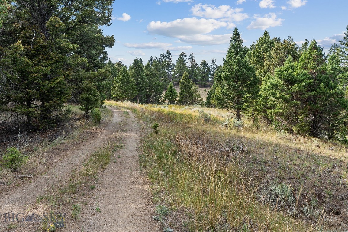 Whitehall, Montana 59759, United States, 1 Bedroom Bedrooms, ,1 BathroomBathrooms,Land,Pending,199261